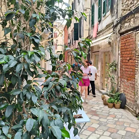 Old Town's Nest Διαμέρισμα *